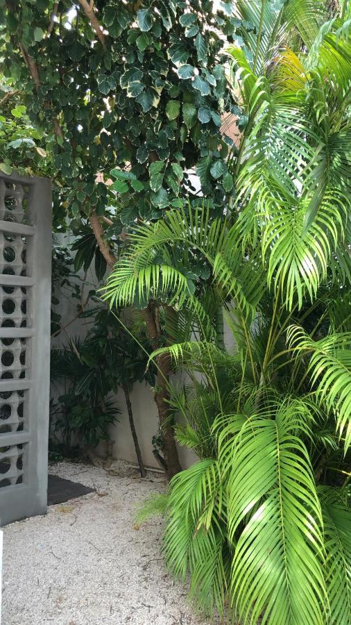 Cielo Neuf Bed & Breakfast Cancún Eksteriør bilde